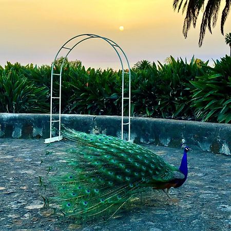 Finca La Principal Breña Alta エクステリア 写真
