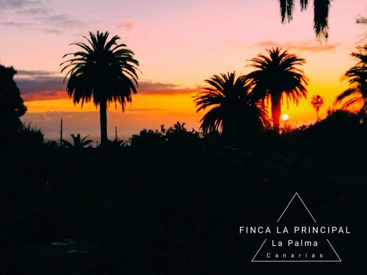 Finca La Principal Breña Alta エクステリア 写真