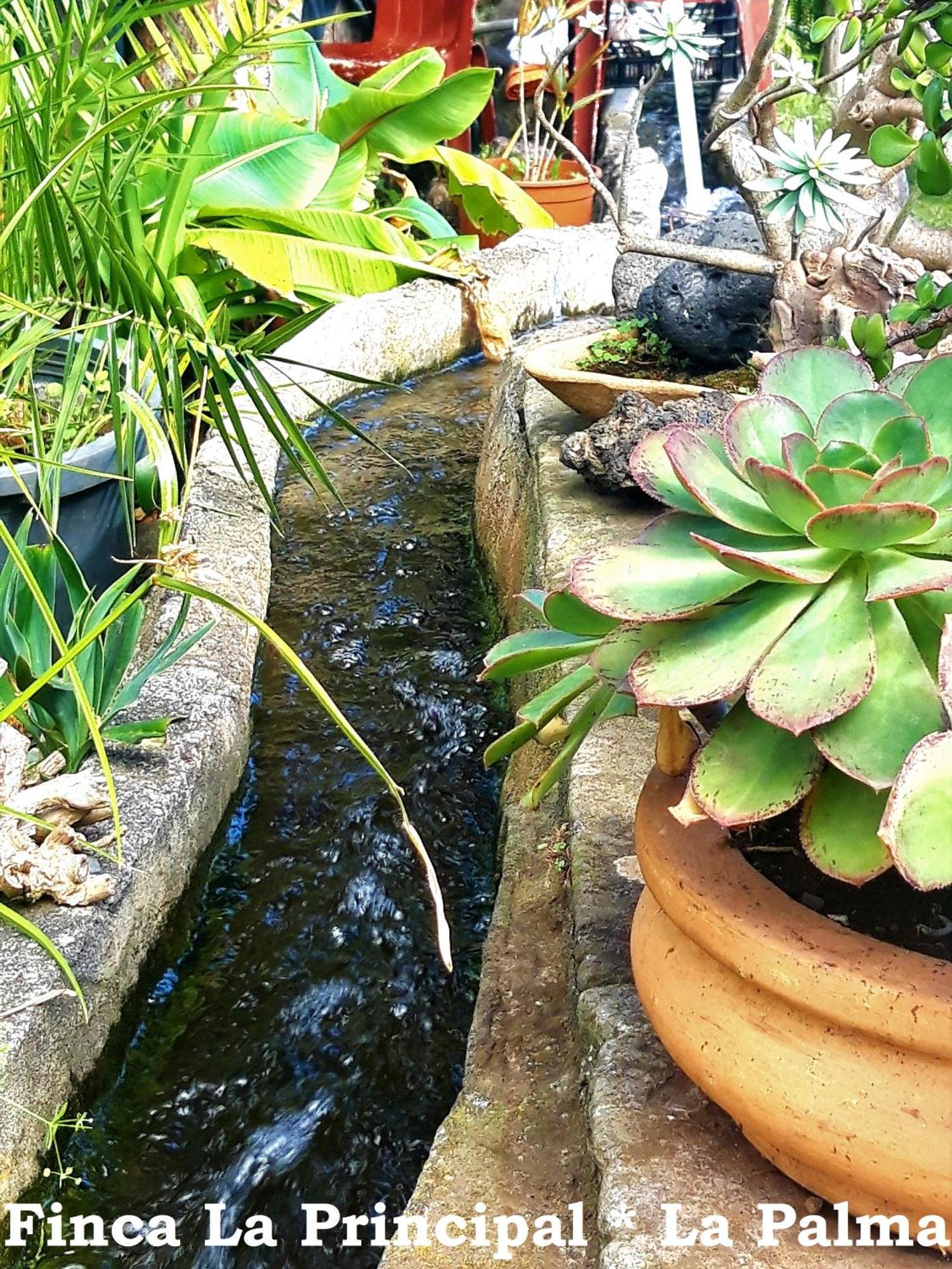 Finca La Principal Breña Alta エクステリア 写真