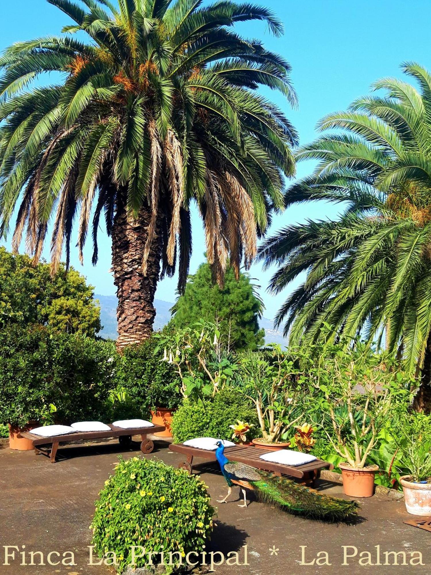 Finca La Principal Breña Alta エクステリア 写真