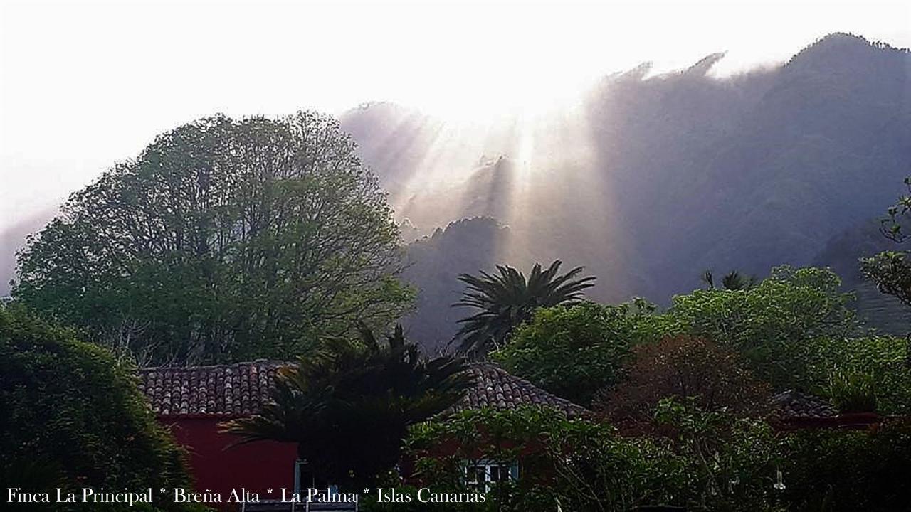 Finca La Principal Breña Alta エクステリア 写真