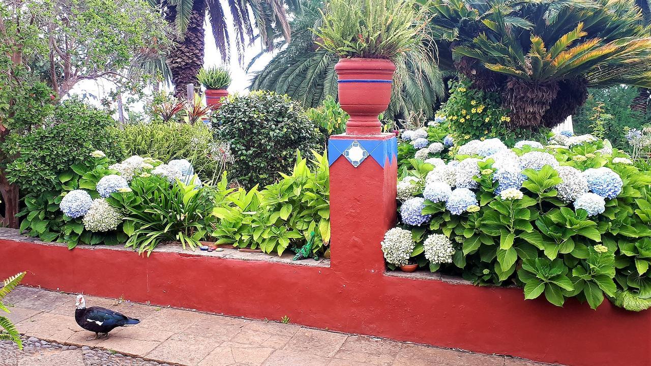 Finca La Principal Breña Alta エクステリア 写真