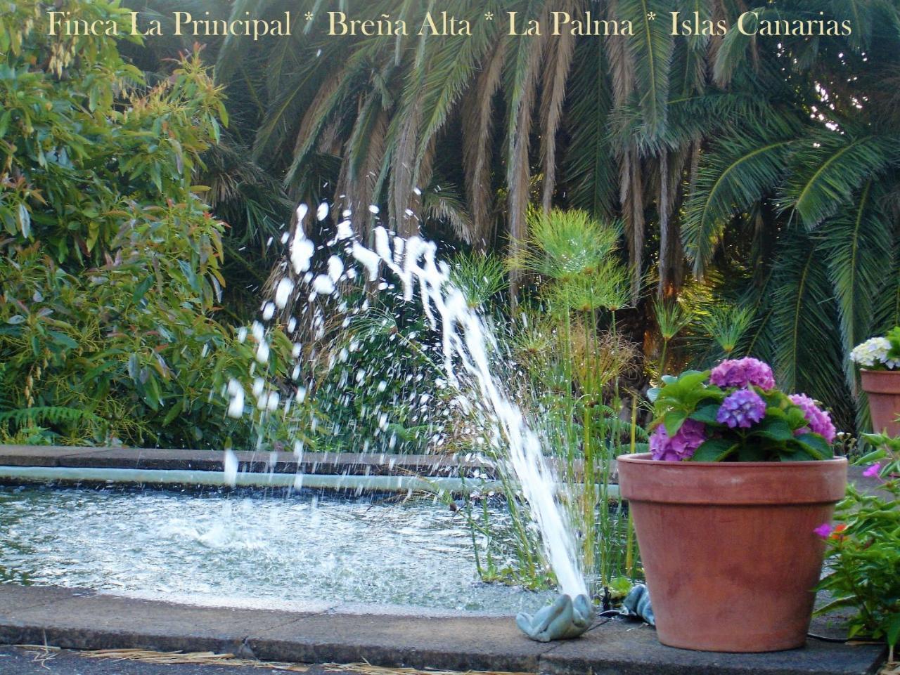 Finca La Principal Breña Alta エクステリア 写真